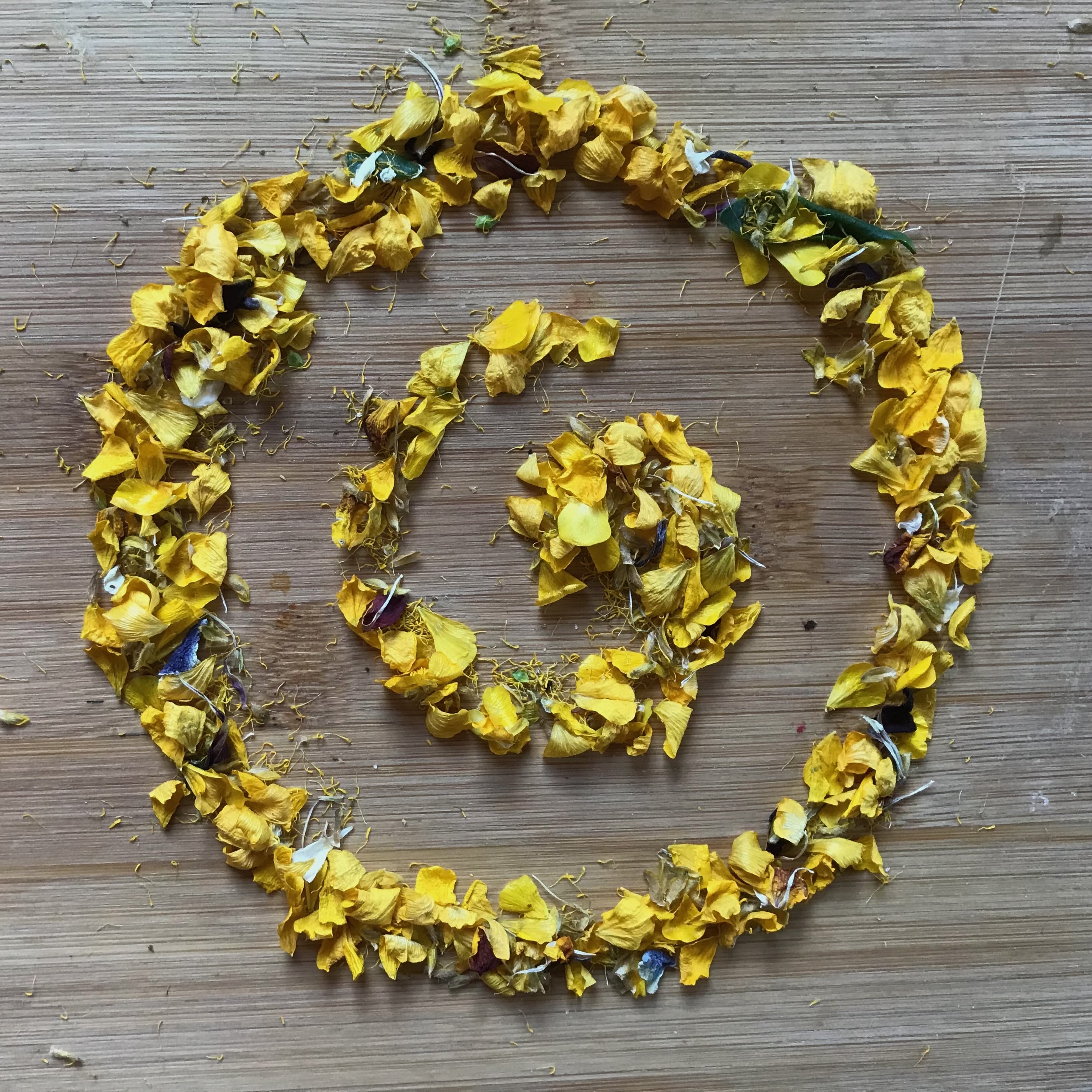 6. Begegnungskunst und die Kunst zu begegnen im Jahreskreislauf des Lebens