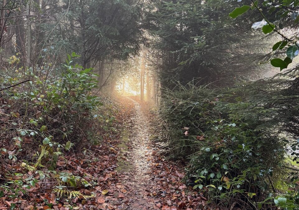 7. Gegenwärtiges Menschsein