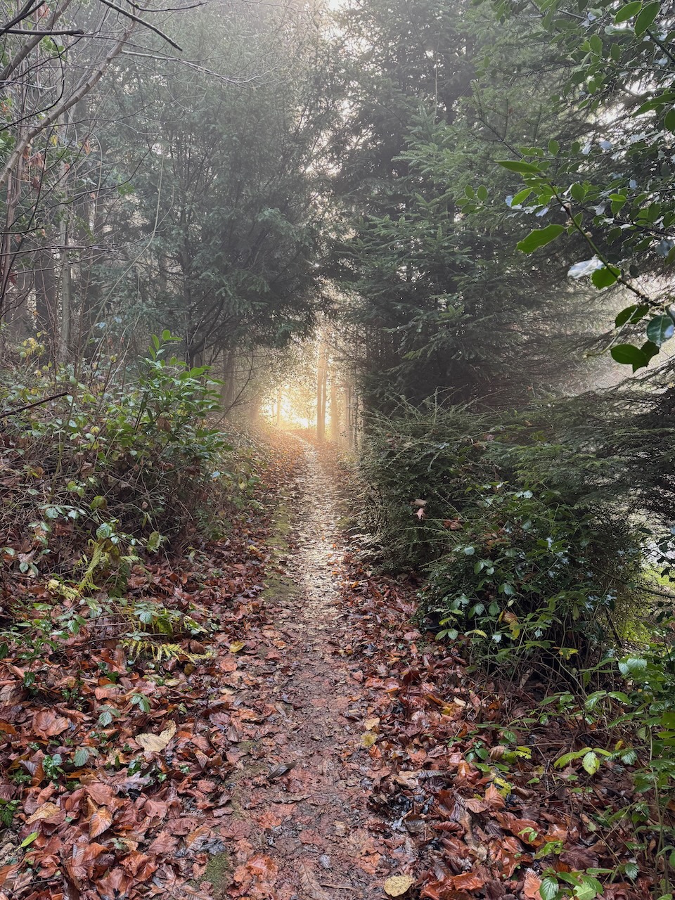 7. Gegenwärtiges Menschsein