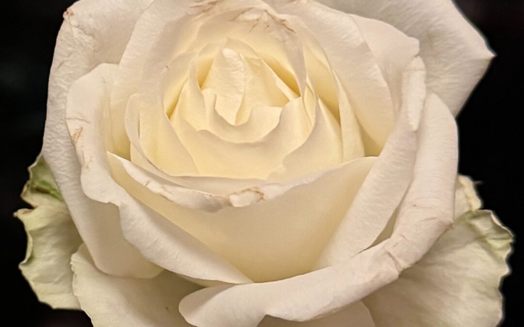 8. Dasein in SELBSTVERANTWORTUNG